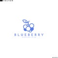 Blueberry logo. Isolated berries